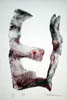 DSCN4827-15x22